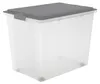 Rotho Compact, Box, Obdĺžnikový, 70 L, Šedá, Priehľadná, Náhľad obrázku produktu 1