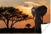 MuchoWow® Poster Elefant - Baum - Afrika 90x60 cm - Produktbild-Vorschau 1
