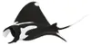 Safari Ltd - Figurka Ryba Manta - 100096 Náhled obrázku produktu 3