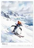 Coole Pinguine (Wandkalender 2027 DIN A4 hoch), CALVENDO Produktbild-Vorschau 5