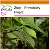 SAFLAX - Garden in the bag - Zioła - Prawdziwy Pieprz - 20 Podgląd zdjęcia produktu 10