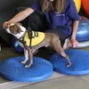 Disco di equilibrio FitPAWS per animali domestici 36 cm blu Anteprima dell’immagine prodotto 6