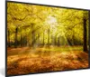 MuchoWow® Gerahmtes Poster Baum - Natur - Sonne - Produktbild-Vorschau 1