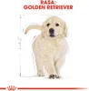 ROYAL CANIN Golden Retriever Junior - Welpe - Golden Produktbild-Vorschau 6