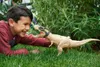 Jurassic World HNT62, 4 rok / roky, Hnedá, Plast Náhľad obrázku produktu 11