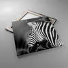 Bild auf Leinwand - Leinwandbild - Tier Zebra Streifen - Produktbild-Vorschau 2