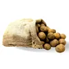 Pflanzkartoffeln B I O-Antonia 10 kg Setzling Produktbild-Vorschau 3