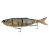 A fishing lure designed to resemble a fish. Náhled obrázku produktu