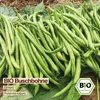 Samenliebe  Bohne Samen | Elmoro - fadenlos & frühe Sorte - Produktbild-Vorschau 4