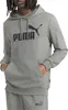 Puma Hoodie Essentials Kapuzensweatshirt Produktbild-Vorschau 13