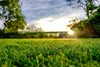 easygreen® Trockenrasen 12m² Produktbild-Vorschau 5