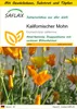 SAFLAX Anzucht Set - Kalifornischer Mohn - Eschscholzia Produktbild-Vorschau 1