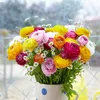 Bloomique - Mix 50 - Jaskier - Jaskier - Mix kolorów - Podgląd zdjęcia produktu 4