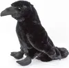 A plush toy raven sitting on a white background. Produktbild-Vorschau