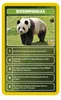 Top Trumps Quiz Welt der Tiere Ratespiel Wissensspiel Produktbild-Vorschau 4