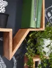 A close-up of a wooden zigzag shelf mounted on a dark wall, decorated with chalk drawings. A potted plant with green ivy is placed on the shelf, and two green books are also visible. Produktbild-Vorschau