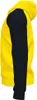 Joma Academy Iv Pull à fermeture éclair Jaune,Noir 9-10 ans Voir les images du produit 4