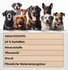 123... Hund dabei! - Kaurollen XXL 50er Tray (Strauß) - Produktbild-Vorschau 6