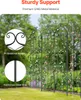 A garden trellis with climbing plants. Produktbild-Vorschau