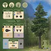 Asmodee Undergrove, Brettspiel, 10 Jahr(e), 15 min Produktbild-Vorschau 6