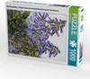 CALVENDO Puzzle Weinbaugebiete: Filzige Paulownia (stark Produktbild-Vorschau 1