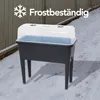 Infinity Goods Infinity Goods Growing Table On Legs XXL - Produktbild-Vorschau 5