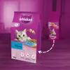 ‎Whiskas 5900951014390, Dospělý jedinec, Jakékoli plemeno, Náhled obrázku produktu 3