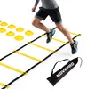 Agility rebrík 6 m s kužeľmi a taškou na tréning Náhľad obrázku produktu 1