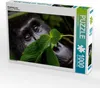 CALVENDO Puzzle Watching you | 1000 Teile Lege-Größe Produktbild-Vorschau 1