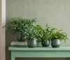 Dehner Übertopf Aquaris, bauchiger Indoor Blumentopf, Produktbild-Vorschau 2