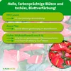Purgrün Anthurium-Dünger | Flüssigdünger für Blüten & Produktbild-Vorschau 3