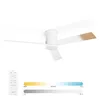 Stropní ventilátor Noaton® Rhea, stmívatelná LED 22,9 W, Náhled obrázku produktu 1