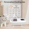Zimilo Automatischer Futterautomat für Katzen & Hunde mit Produktbild-Vorschau 5