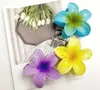 Camerazar Set di 4 fermagli floreali colorati per la Anteprima dell’immagine prodotto 5