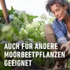 Spezialdünger COMPO Vital für Hortensien u. Rhododendren 1 Produktbild-Vorschau 6