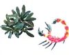 Vodní rostlina Bucephalandra Red Scorpio Náhled obrázku produktu 2