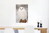 MuchoWow® Poster Porträt einer Schneeeule 60x90 cm - Produktbild-Vorschau 5