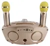 Bluetooth reproduktor pro domácnost, KTV, karaoke se dvěma Náhled obrázku produktu 4