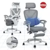 FLEXISPOT: sedia da ufficio ergonomica con poggiatesta 3D, Anteprima dell’immagine prodotto 1