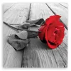 Leinwandbild Rote Rose 40x40 Feeby Rot bild für die wand Produktbild-Vorschau 3