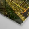 Bilder auf glas - Wald grün Sonnenstrahlen Natur - 100x70cm Produktbild-Vorschau 5