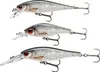 CORMORAN REALFISH ROACH, set di oscillatori, 53-00027 Anteprima dell’immagine prodotto 3
