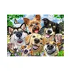 Puzzle Psí selfie 500 dílků Náhled obrázku produktu 2