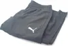 PUMA Teamrise Sideline Training Pants Męskie spodnie Podgląd zdjęcia produktu 2