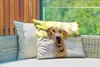 MuchoWow® Outdoor Kissen - Labrador Retriever draußen - Produktbild-Vorschau 3