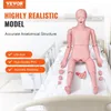 Mann Krankenpflege Übungspuppe Voir les images du produit 2