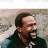 Music On Vinyl Marvin Gaye - Dream Of A Lifetime, Vinyl, Produktbild-Vorschau 2