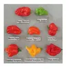 40x Schärfste Chili der Welt Mix Gemüse Pflanzen - Samen Produktbild-Vorschau 7