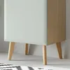 Wohnzimmer Standvitrine in Grün Matt mit Eiche STOCKTON-61 Produktbild-Vorschau 3