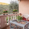 2x jardinières demi-tonneau Voir les images du produit 5